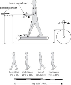 Guide to form on treadmill